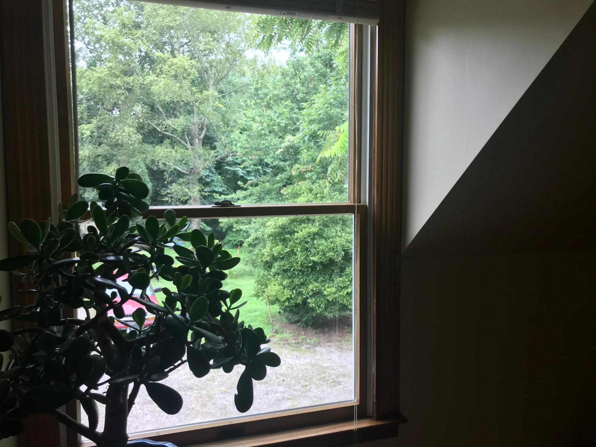Carriage House Hideaway In Center Of Chestertown Luaran gambar